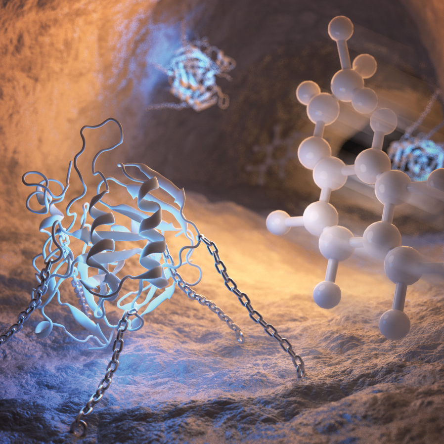 Highly active enzymes immobilized in large pore colloidal mesoporous silica nanoparticles