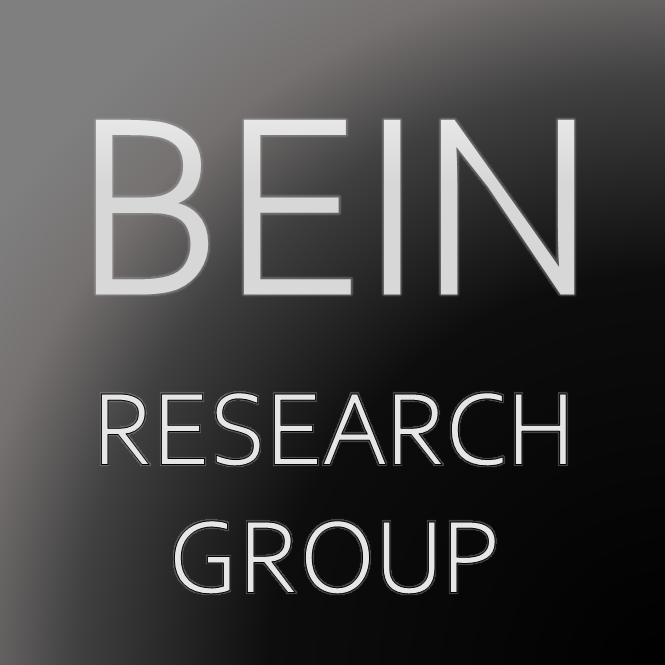Bein Research Group